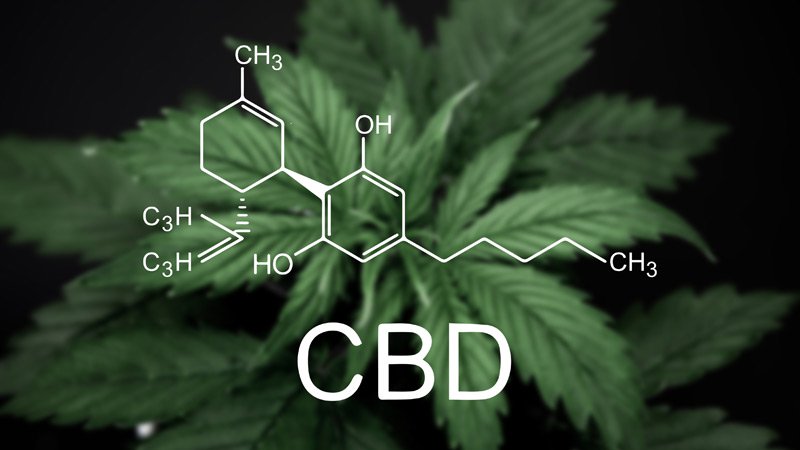 Buyer Beware: CBD, THC and Drug Testing